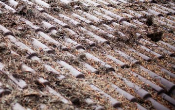 Sherfin roof cleaning companies